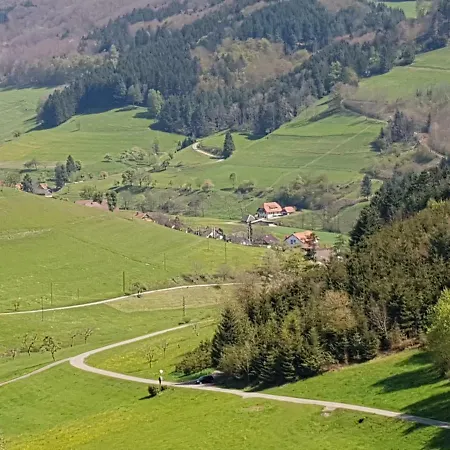 Ferienwohnung Am Siegelbaechle Mit E-Bikes Vermietung Gutach im Breisgau Esterno foto
