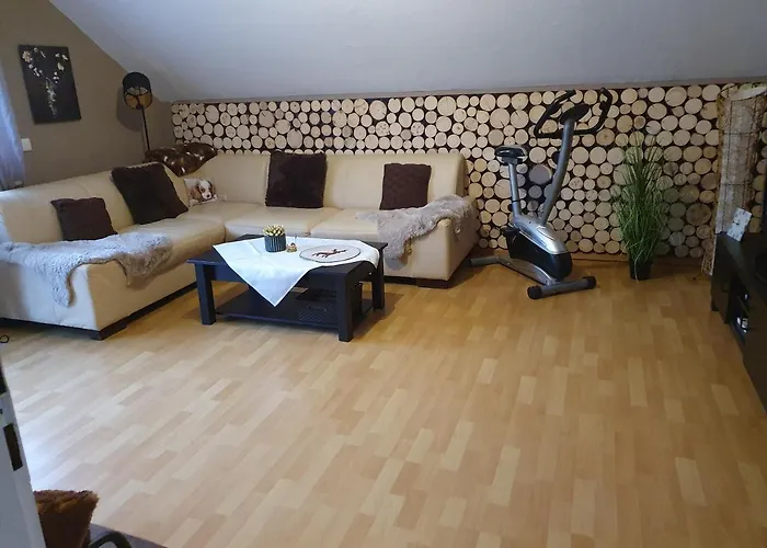 Ferienwohnung am Siegelbächle mit E-Bikes Vermietung