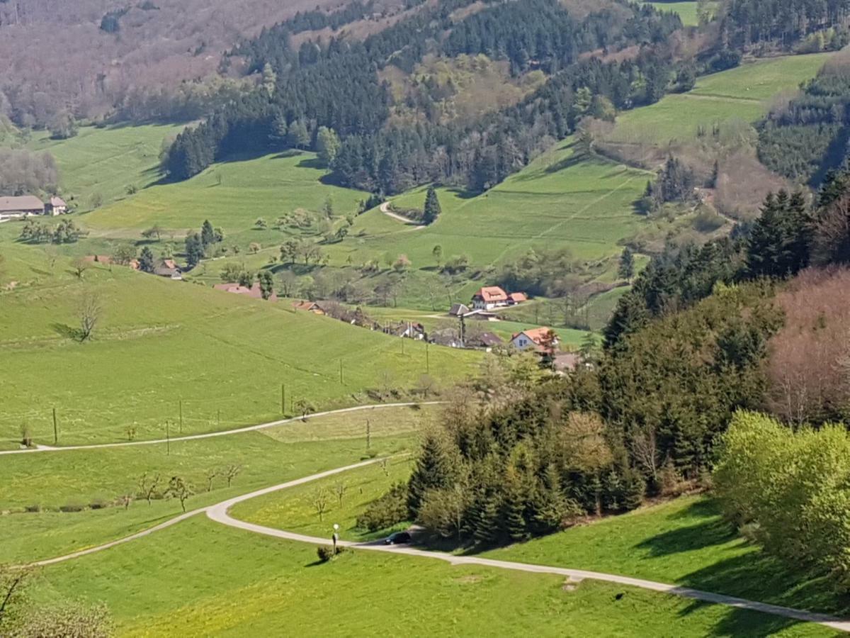 Am Siegelbächle Mit E-bikes Vermietung * Gutach im Breisgau